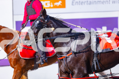 2025_PACEPIX_GP28072025_RACE5_LadyVioleta_WIN_WEB-20