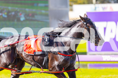 2025_PACEPIX_GP28072025_RACE5_LadyVioleta_WIN_WEB-4