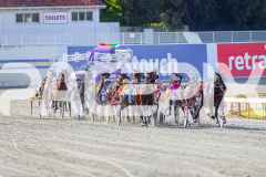 2025_PACEPIX_GP28072025_RACE5_LadyVioleta_WIN_WEB-5