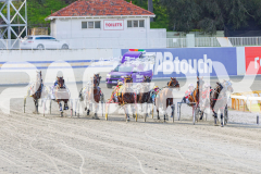 2025_PACEPIX_GP28072025_RACE5_LadyVioleta_WIN_WEB-6