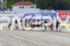 2025_PACEPIX_GP28072025_RACE5_LadyVioleta_WIN_WEB-7