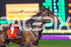 2025_PACEPIX_GP05092025_RACE5_LaziDais_WIN_WEB-12