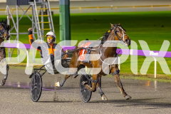 2025_PACEPIX_GP05092025_RACE5_LaziDais_WIN_WEB-15