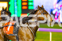 2025_PACEPIX_GP05092025_RACE5_LaziDais_WIN_WEB-29