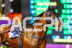 2025_PACEPIX_GP05092025_RACE5_LaziDais_WIN_WEB-3
