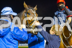 2025_PACEPIX_GP05092025_RACE5_LaziDais_WIN_WEB-33