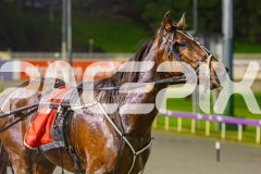 2025_PACEPIX_GP05092025_RACE5_LaziDais_WIN_WEB-40