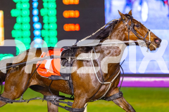 2025_PACEPIX_GP05092025_RACE5_LaziDais_WIN_WEB-7