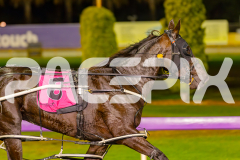 2025_PACEPIX_GP30052025_RACE5_LionQueen_WIN_WEB-15