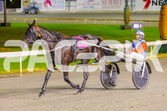 2025_PACEPIX_GP30052025_RACE5_LionQueen_WIN_WEB-17