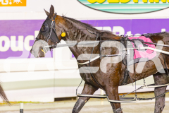 2025_PACEPIX_GP30052025_RACE5_LionQueen_WIN_WEB-18