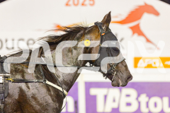2025_PACEPIX_GP30052025_RACE5_LionQueen_WIN_WEB-22