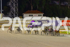 2025_PACEPIX_GP30052025_RACE5_LionQueen_WIN_WEB-7
