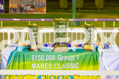 2025_PACEPIX_GP21112025_RACE5_LittleDarling_WIN_WEB-1