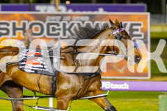 2025_PACEPIX_GP21112025_RACE5_LittleDarling_WIN_WEB-10