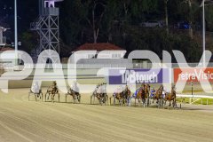 2025_PACEPIX_GP21112025_RACE5_LittleDarling_WIN_WEB-11