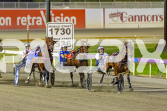 2025_PACEPIX_GP21112025_RACE5_LittleDarling_WIN_WEB-12