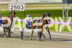 2025_PACEPIX_GP21112025_RACE5_LittleDarling_WIN_WEB-13