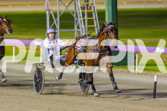 2025_PACEPIX_GP21112025_RACE5_LittleDarling_WIN_WEB-14