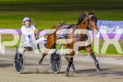 2025_PACEPIX_GP21112025_RACE5_LittleDarling_WIN_WEB-15