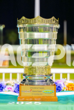 2025_PACEPIX_GP21112025_RACE5_LittleDarling_WIN_WEB-2