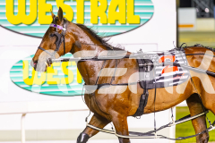 2025_PACEPIX_GP21112025_RACE5_LittleDarling_WIN_WEB-23