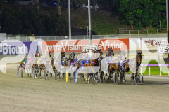 2025_PACEPIX_GP21112025_RACE5_LittleDarling_WIN_WEB-3