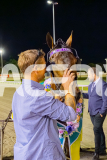 2025_PACEPIX_GP21112025_RACE5_LittleDarling_WIN_WEB-32