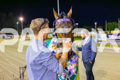 2025_PACEPIX_GP21112025_RACE5_LittleDarling_WIN_WEB-33
