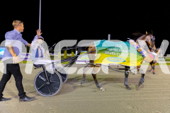 2025_PACEPIX_GP21112025_RACE5_LittleDarling_WIN_WEB-35