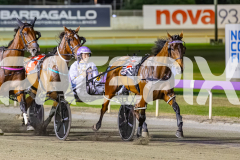 2025_PACEPIX_GP21112025_RACE5_LittleDarling_WIN_WEB-4