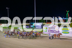2025_PACEPIX_GP21112025_RACE5_LittleDraling_WIN_WEB-51