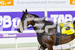 2026_PACEPIX_GP18042026_RACE5_LittleDarling_WIN_WEB-17