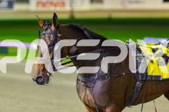 2026_PACEPIX_GP18042026_RACE5_LittleDarling_WIN_WEB-19