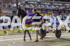 2026_PACEPIX_GP18042026_RACE5_LittleDarling_WIN_WEB-31