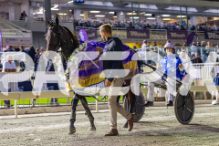 2026_PACEPIX_GP18042026_RACE5_LittleDarling_WIN_WEB-32