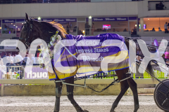 2026_PACEPIX_GP18042026_RACE5_LittleDarling_WIN_WEB-35
