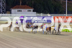 2026_PACEPIX_GP18042026_RACE5_LittleDarling_WIN_WEB-6