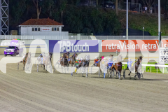 2026_PACEPIX_GP18042026_RACE5_LittleDarling_WIN_WEB-7