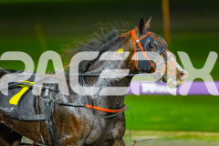 2026_PACEPIX_GP07072026_Race5_LouLamour_WIN_WEB-11