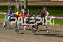 Lou-Lamour_07-07-2026_WIN_Gloucester-Park_5__05