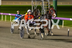 Lou-Lamour_07-07-2026_WIN_Gloucester-Park_5__06