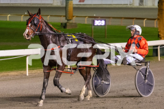 Lou-Lamour_07-07-2026_WIN_Gloucester-Park_5__09