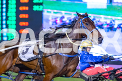 2026_PACEPIX_GP12052026_Race5_LuckyCopy_WIN_WEB-3