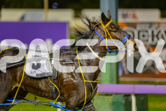 2025_PACEPIX_GP10062025_RACE5_LucyVictoria_WIN_WEB-11