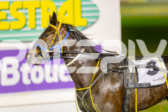 2025_PACEPIX_GP10062025_RACE5_LucyVictoria_WIN_WEB-16