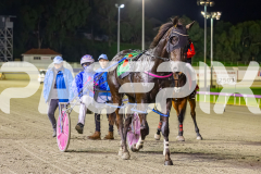 2025_PACEPIX_GP25072025_Race5_Lusaka_WIN_WEB-19