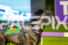 2025_PACEPIX_GP25072025_Race5_Lusaka_WIN_WEB-4
