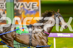 2025_PACEPIX_GP25072025_Race5_Lusaka_WIN_WEB-5