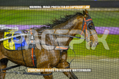 2026_Pacepix_GP14082026_Race5_Luvbite_WIN_WEB-1
